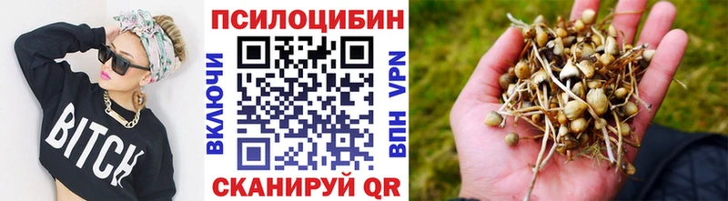 Галлюциногенные грибы Psilocybe  Славск 